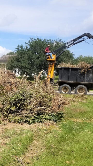 Blocker Tree & Landscape Gallery