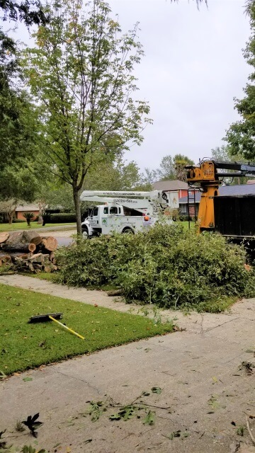 Blocker Tree & Landscape Gallery