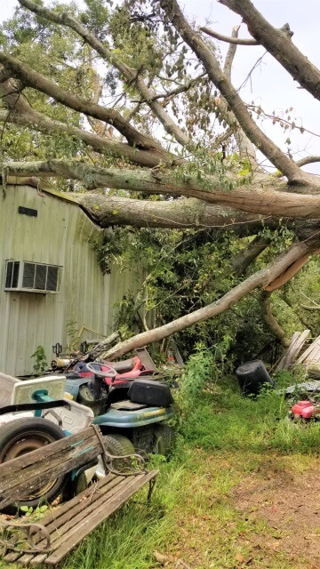 Blocker Tree & Landscape Gallery