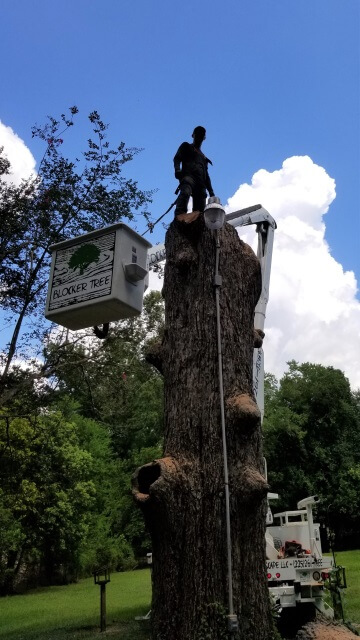 Blocker Tree & Landscape Gallery