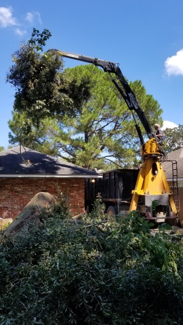 Blocker Tree & Landscape Gallery