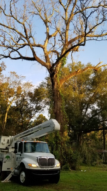 Blocker Tree & Landscape Gallery