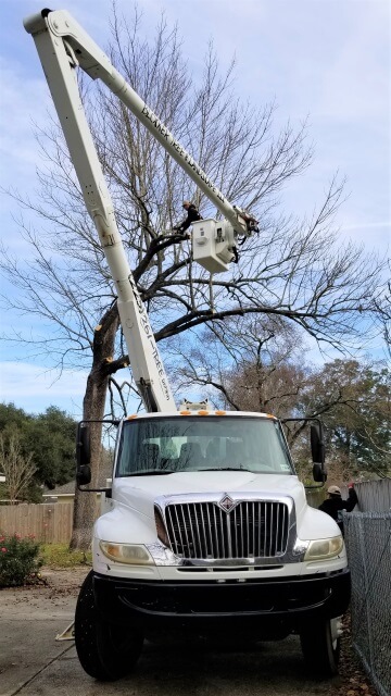 Blocker Tree & Landscape Gallery