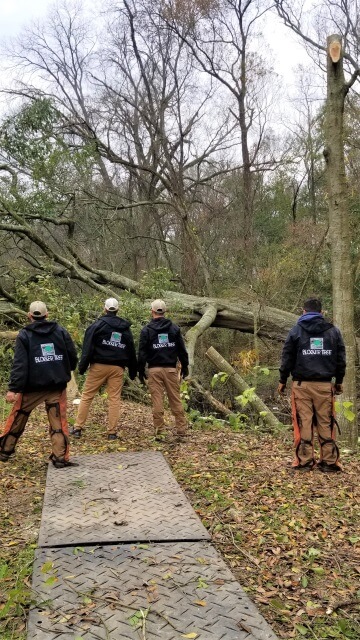 Blocker Tree & Landscape Gallery