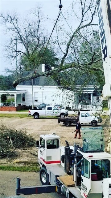 Blocker Tree & Landscape Gallery