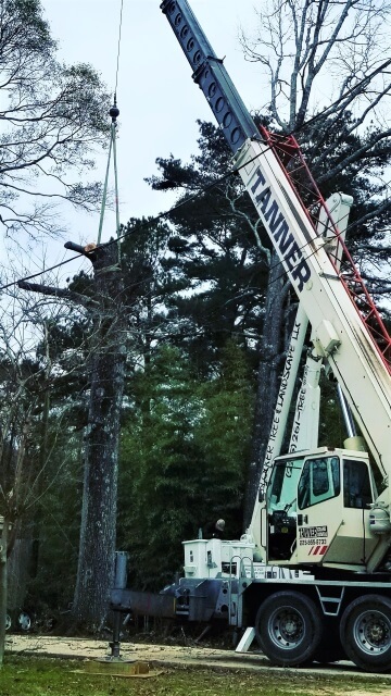 Blocker Tree & Landscape Gallery