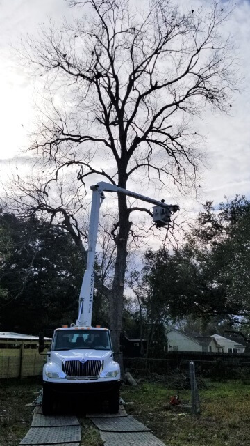 Blocker Tree & Landscape Gallery