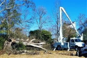 Bucket Truck Services