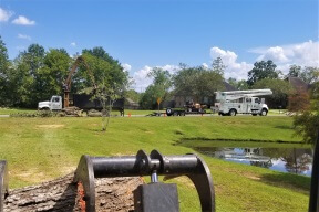 tree removal baton rouge